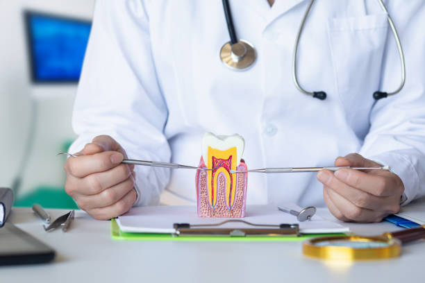Best Emergency Broken Tooth Repair in Kendall Park, NJ
